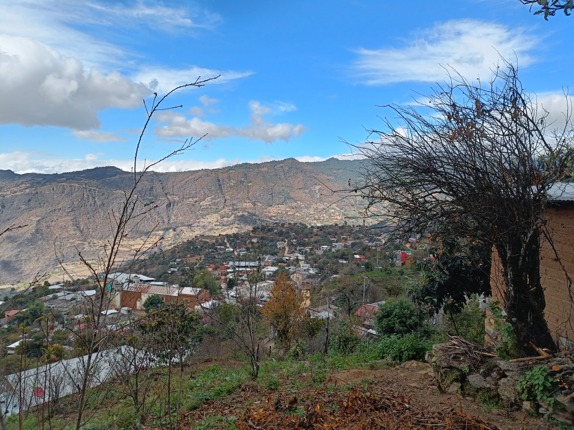 Oaxaca