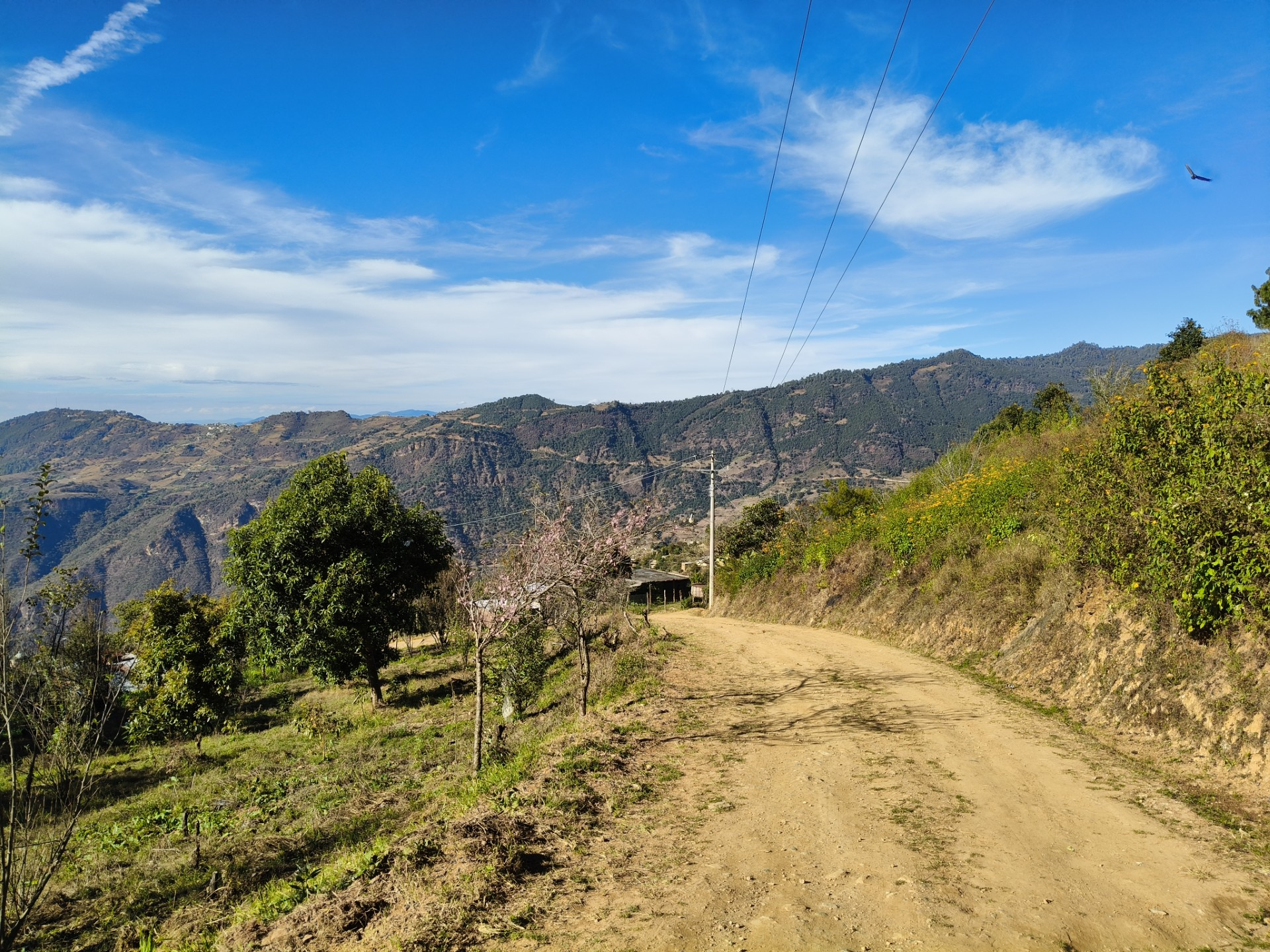 Oaxaca