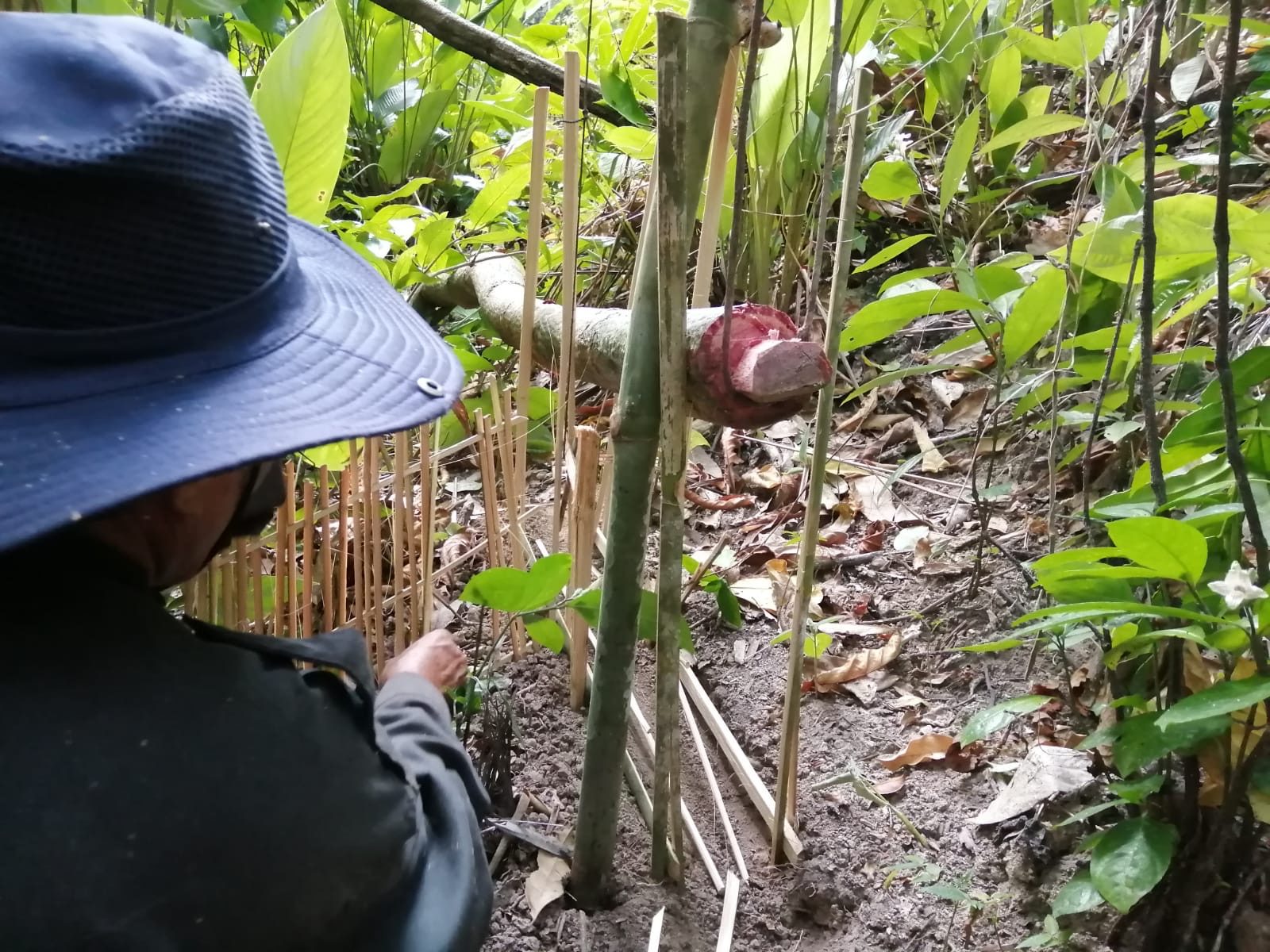Eine traditionelle Khmu-Falle